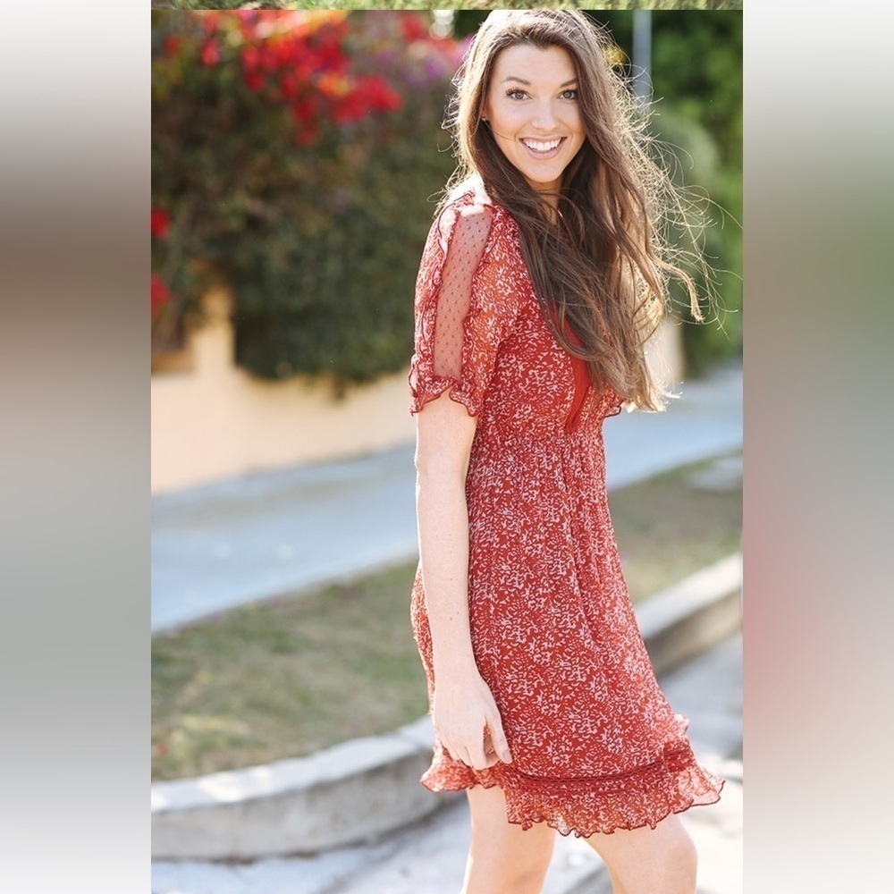 Anthropologie Floreat Red Amber Ruffle Lace Dress Sz 6 - Picture 3 of 11